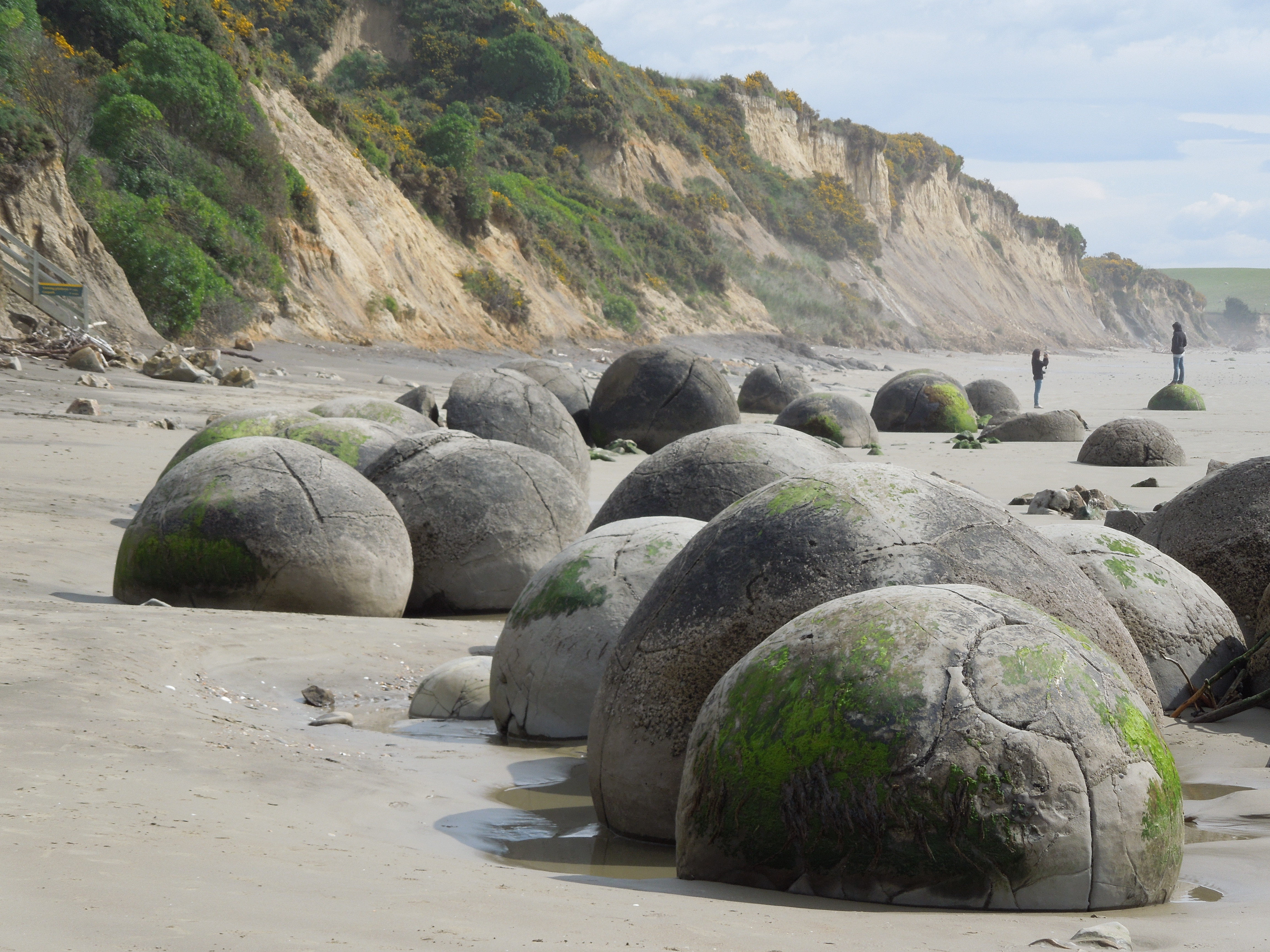 Каменные шары Моераки в новой Зеландии